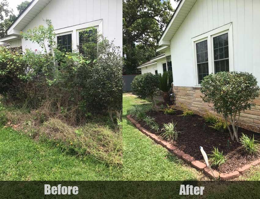 Before and after front bed landscaping transformation